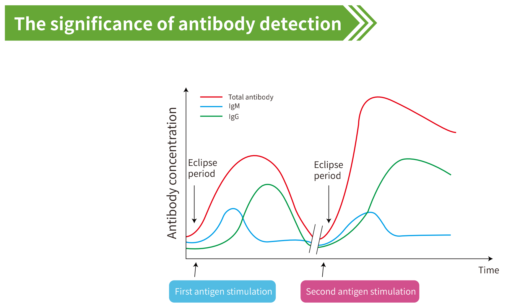 igm-igg-antibody-rapid-test